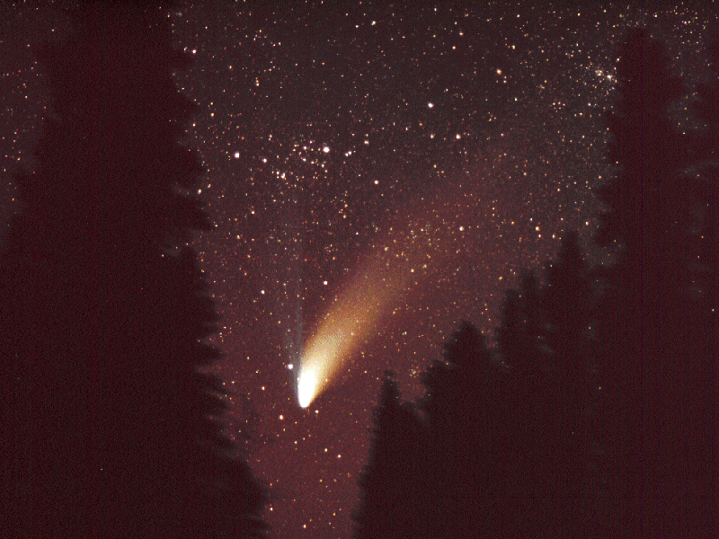 Comet between the trees